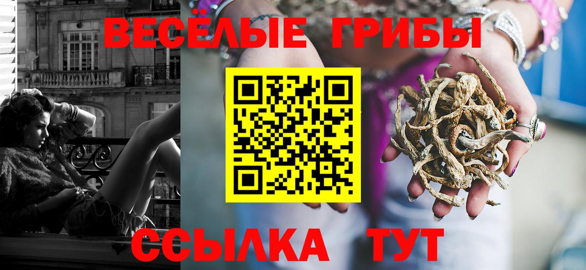 Псилоцибиновые грибы прущие грибы Ставрополь