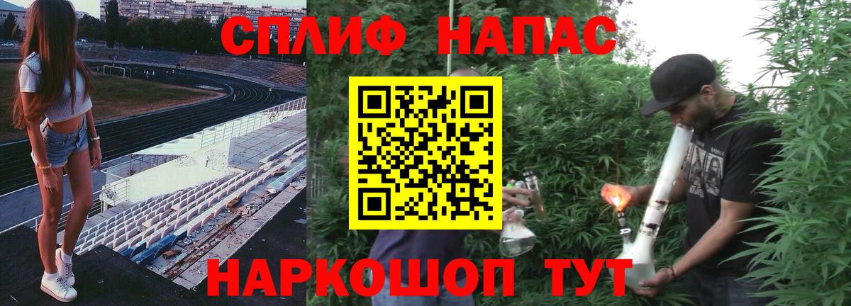 Конопля OG Kush  Вход с VPN  Канабис гибрид  Ставрополь 